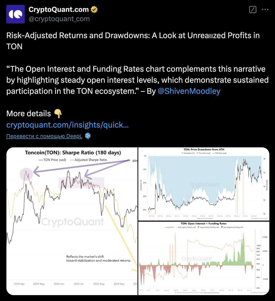 💎 CryptoQuant: Investors Eye TON לטווח ארוך