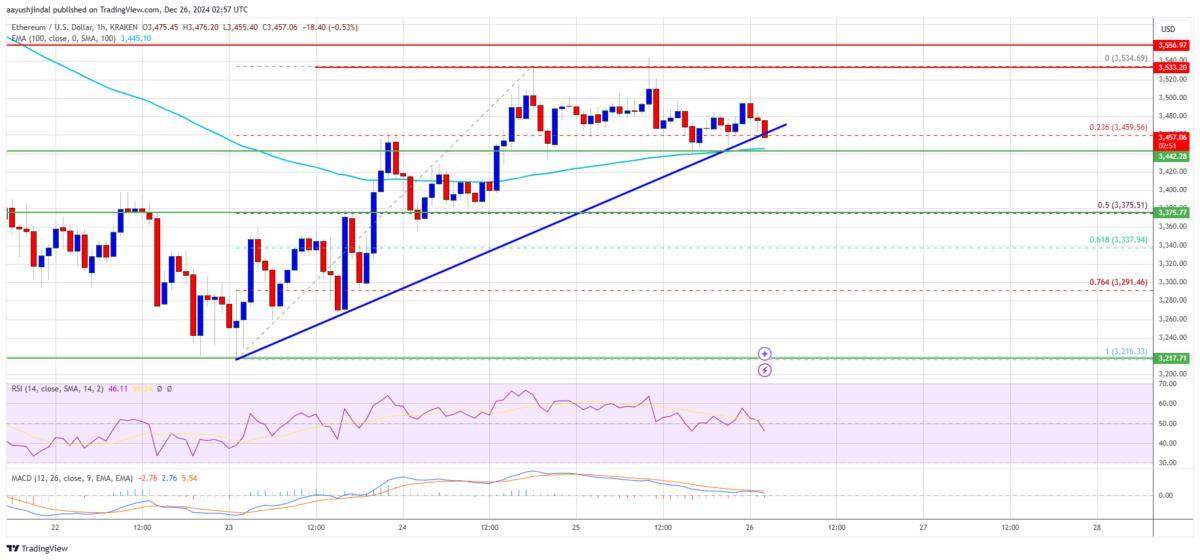 📈 מחיר Ethereum מראה סימנים של ראלי פוטנציאלי