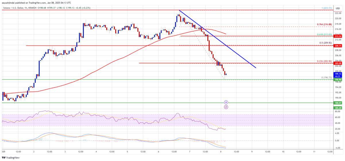 🧬 SOL לא הצליחה לשבור את ההתנגדות של 225$, וירדה ל-196.73$ לפני האיחוד. רמות ההתנגדות הנוכחיות לצפייה הן 205$ ו-213$, עם תמיכה ב-196$ ו-188$. פריצה מעל $213 עלולה לדחוף את המחירים לכיוון $225 או אפילו $240.