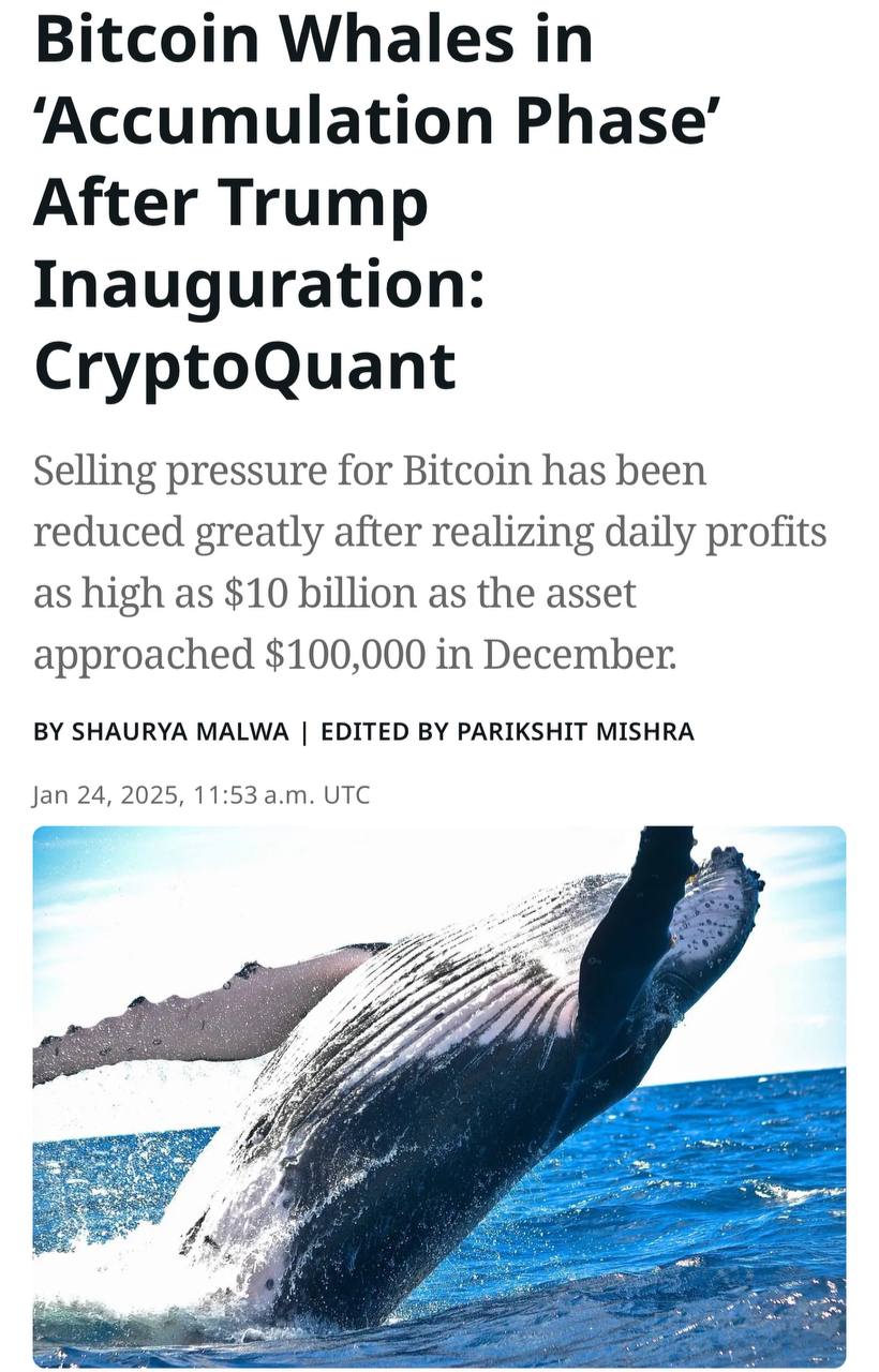 🐋  על פי Cryptoquant, לווייתנים צברו באופן פעיל ביטקוין במהלך חנוכתו של דונלד טראמפ.