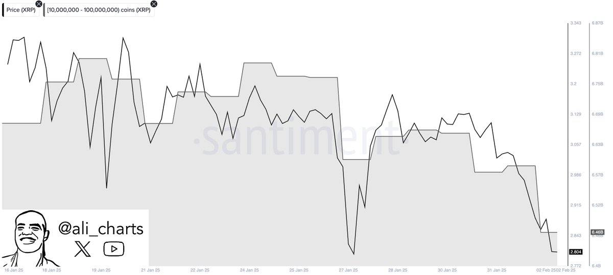 📉  XRP מתרסק מתחת ל -2 $ כ- Whales Dump 130M אסימונים!  🐋🚨