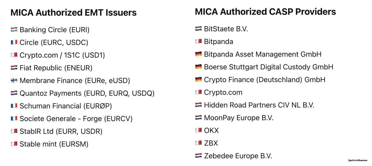 🇪🇺 10 מנפיקי StableCoin עומדים בכללי נציץ – אם נותרו בחוץ