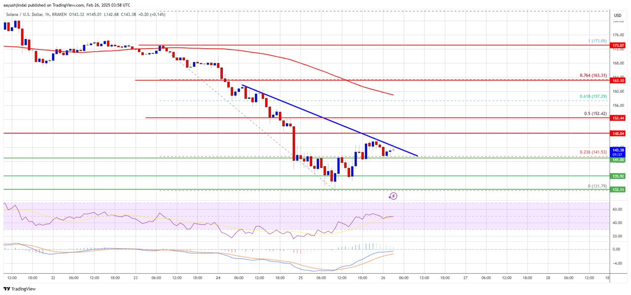 🧬 מחיר סול יורד מעל 15% , ונשבר מתחת לרמות התמיכה של $ 162 ו- $ 150 .
