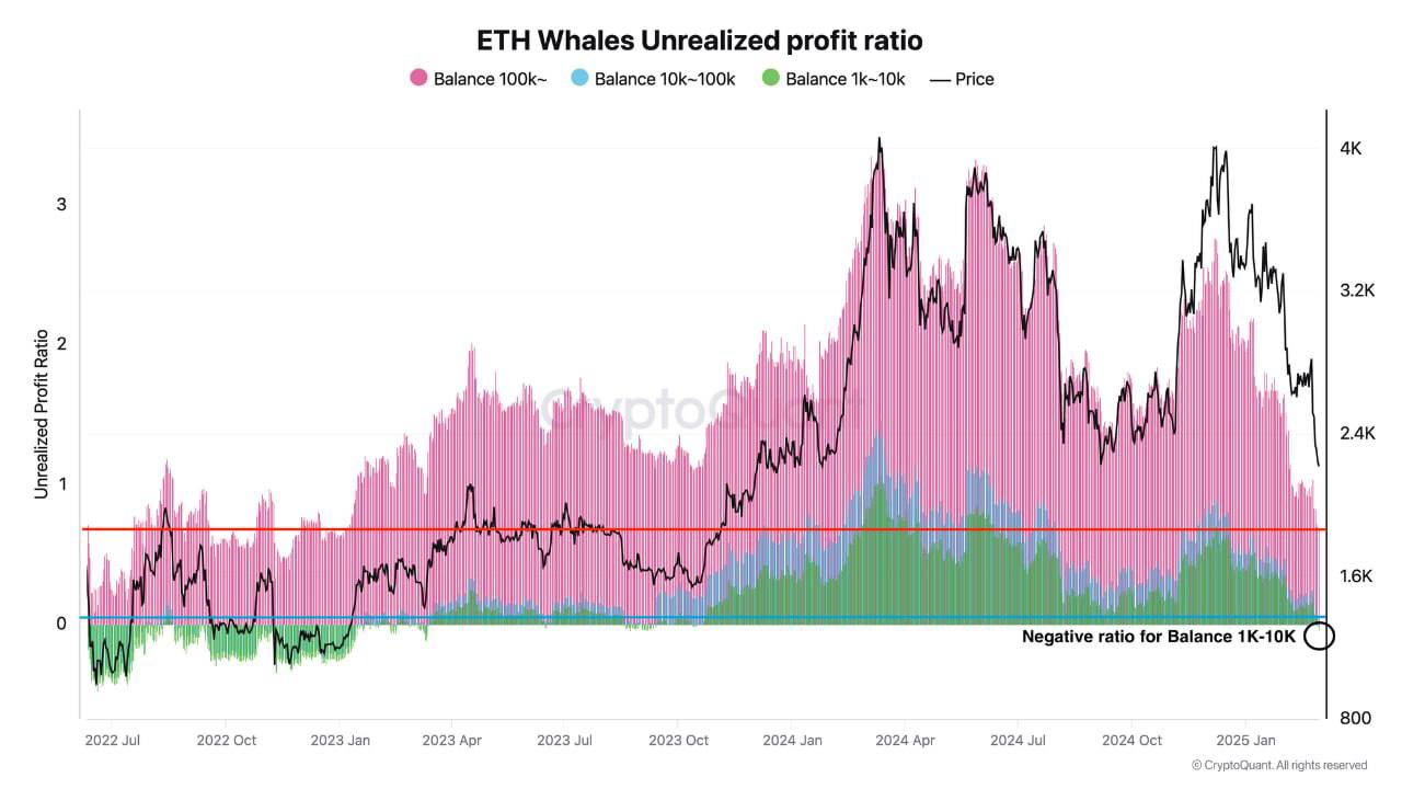 📉  רווחים לא ממומשים של לווייתני Ethereum ירדו לרמות שלא נראו מאז תקופת השוק של הדובים.